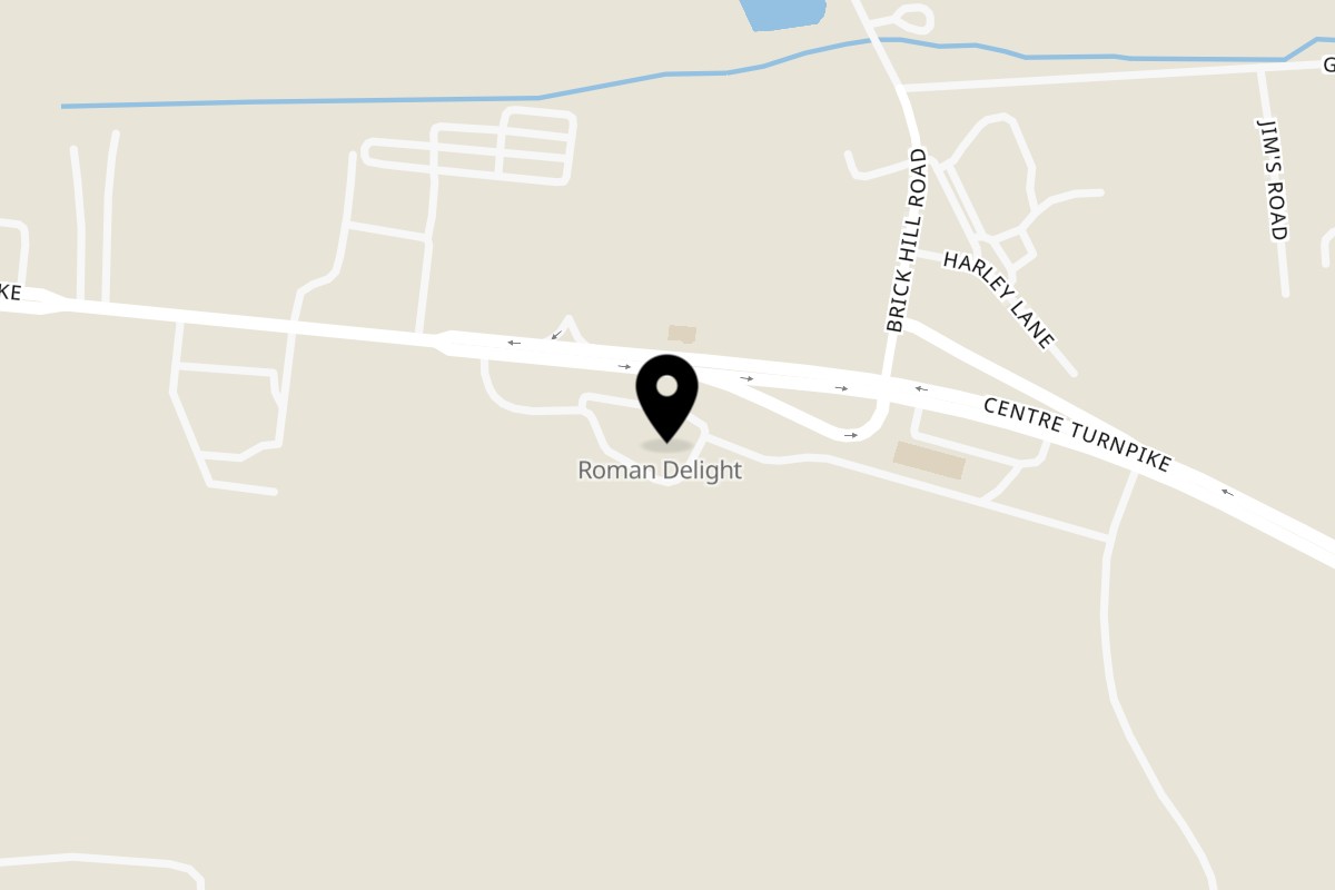 Map showing the location of Roman Delight Pizza Orwigsburg on 1240 Centre Turnpike in Orwigsburg